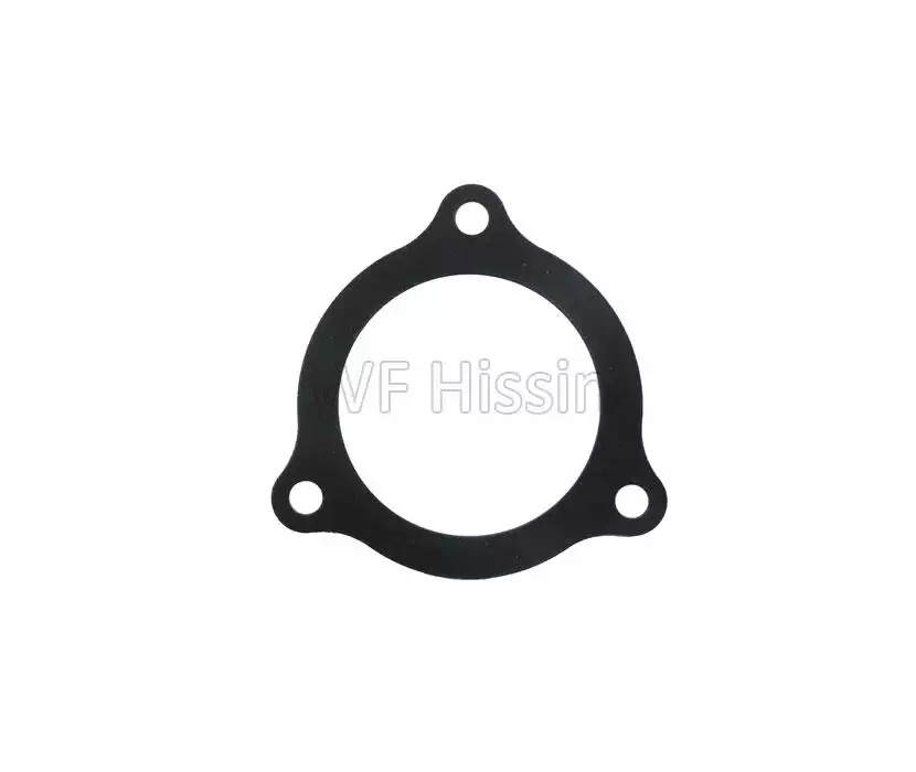 Fuel injection pump gasket